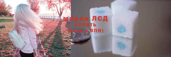 спайс Бикин