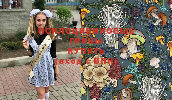 первитин Медногорск