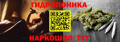 гидра Свободный
