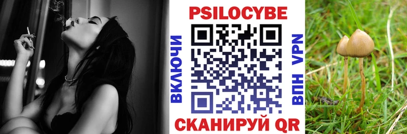 Псилоцибиновые грибы Psilocybine cubensis  Семилуки 