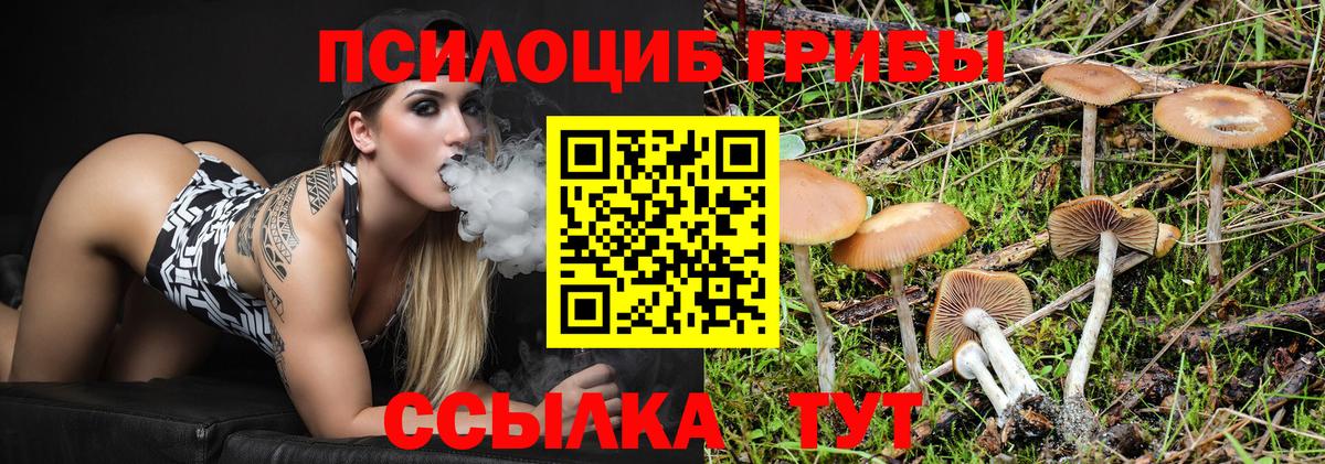 Псилоцибиновые грибы прущие грибы Семилуки